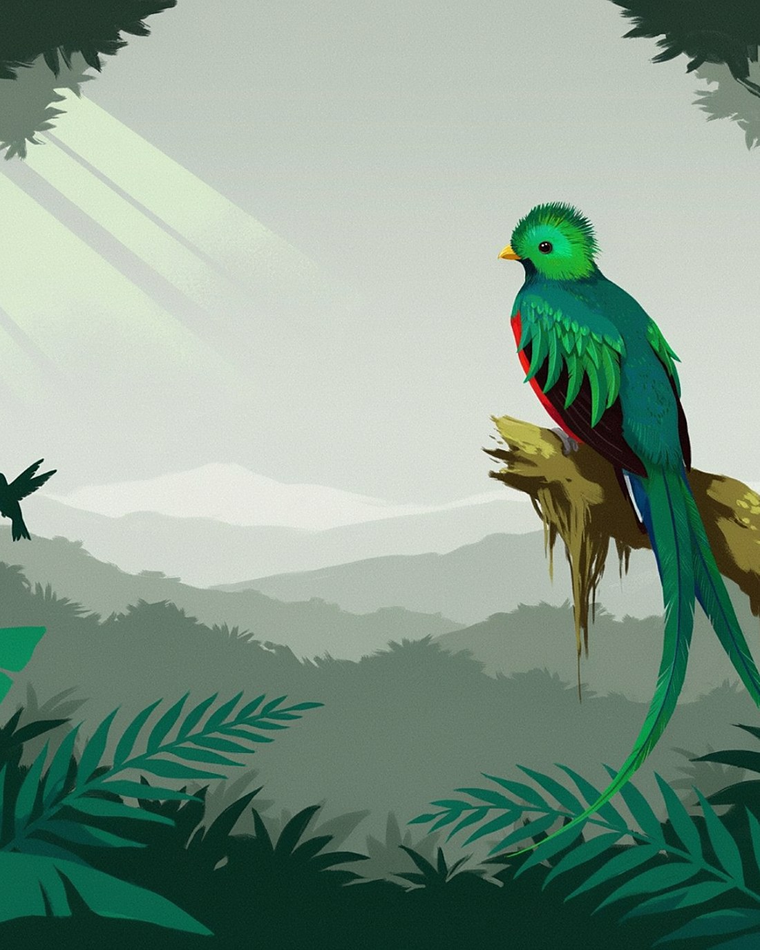 WPA-style illustration of a misty cloud forest with a resplendent quetzal on a mossy branch, a red-eyed tree frog, orchids and shafts of green light