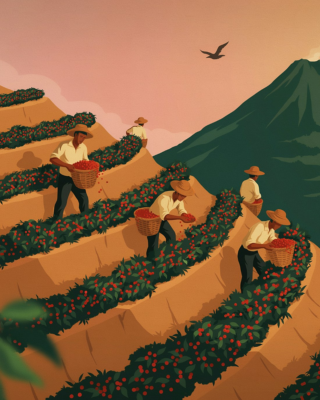 WPA-style illustration of pickers with baskets gathering red coffee cherries on a terraced hillside beneath a green volcano at golden hour
