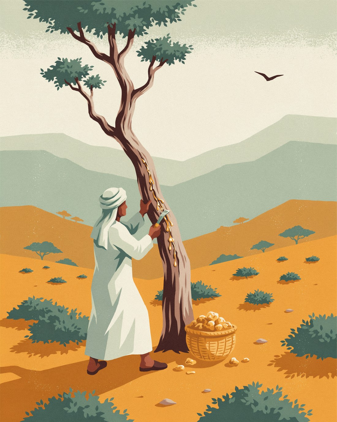 WPA-style illustration of a frankincense harvester in a white dishdasha and turban scoring the bark of a gnarled Boswellia tree in the dry Dhofar hills, pale resin hardening into golden tears and a woven basket of resin at the base of the trunk
